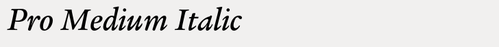 ITC Legacy Serif Pro Medium Italic