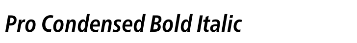 Neue Frutiger for PFERD group Pro Condensed Bold Italic