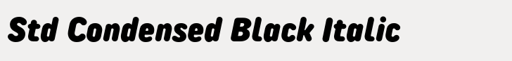 TT Rounds Neue Std Condensed Black Italic