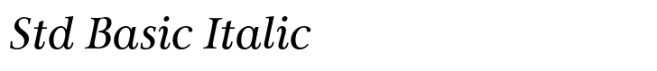 Carrig Std Basic Italic