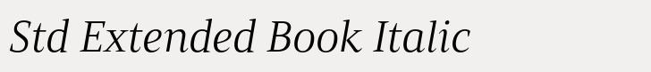 Mandrel Std Extended Book Italic