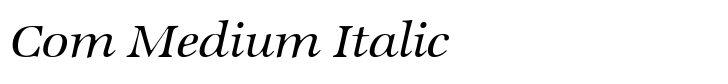 ITC Zapf International Com Medium Italic