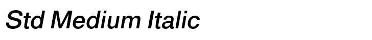 Classic Sans Rounded Std Medium Italic