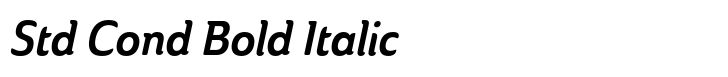 Ainslie Std Cond Bold Italic