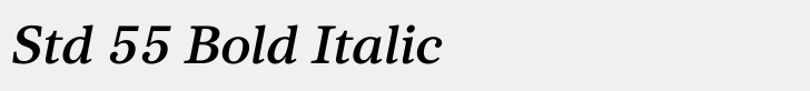 Core Serif N Std 55 Bold Italic
