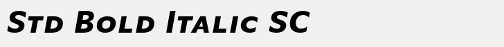 FF Basic Gothic Std Bold Italic SC