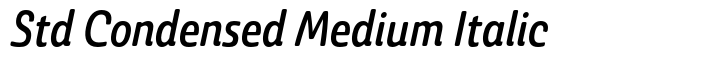 Ashemore Softened Std Condensed Medium Italic