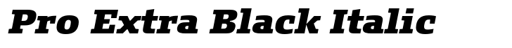FF Signa Slab Pro Extra Black Italic