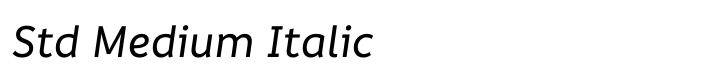 Informative Std Medium Italic