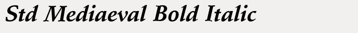 Schneidler Std Mediaeval Bold Italic