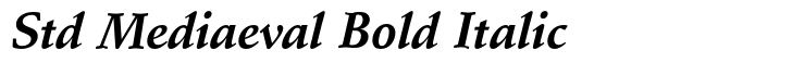 Schneidler Std Mediaeval Bold Italic