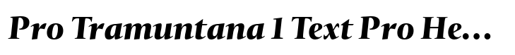 Tramuntana 1 Pro Pro Tramuntana 1 Text Pro Heavy Italic