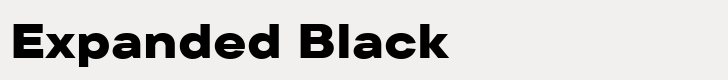 TT Commons Pro Expanded Black