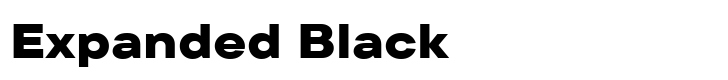TT Commons Pro Expanded Black