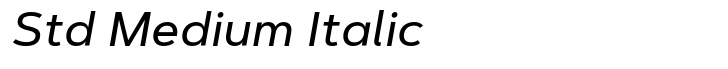 Artegra Sans Std Medium Italic