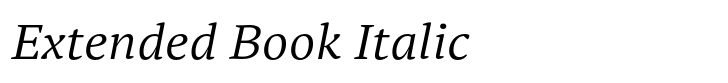 PT Serif Pro Extended Book Italic