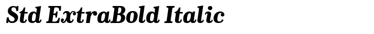 CA Normal Serif Std ExtraBold Italic