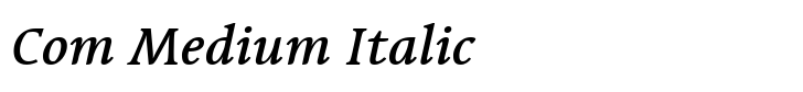 Linotype Syntax Serif Com Medium Italic