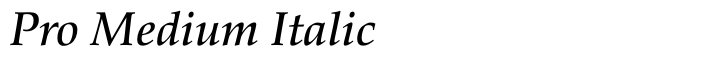 Palatino Nova Pro Medium Italic