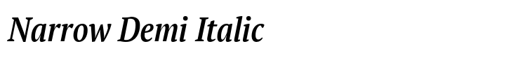 PT Serif Pro Narrow Demi Italic