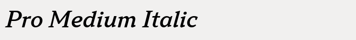 TT Norms Pro Serif Pro Medium Italic